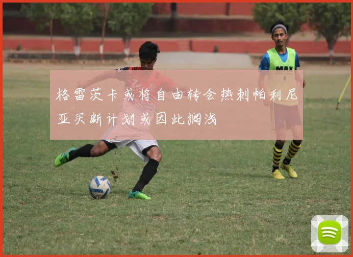格雷茨卡或将自由转会热刺帕利尼亚买断计划或因此搁浅