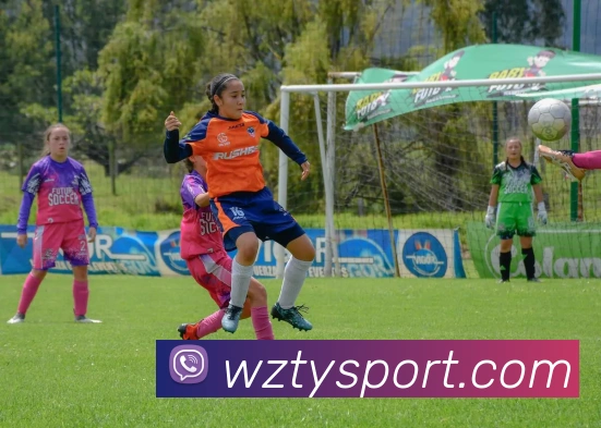 王者体育发展历程